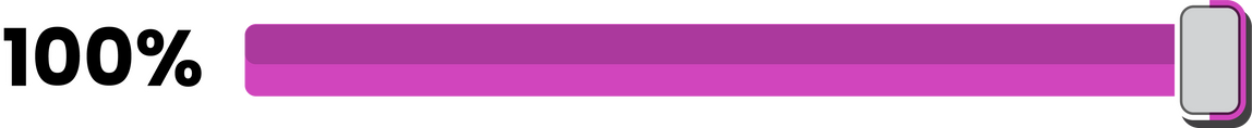Infographic Horizontal Bar 100%